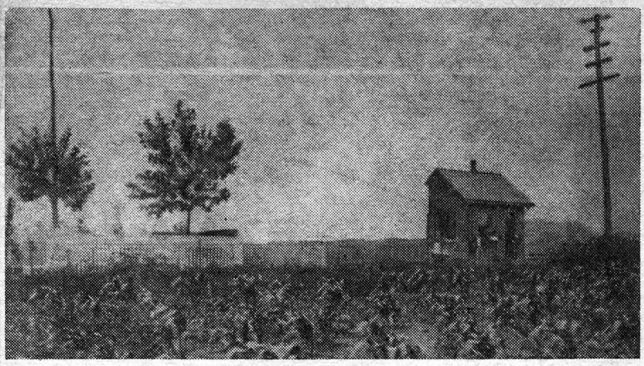 Wayne Railroad Station, with surrounding cornfield, in the 1860’s.