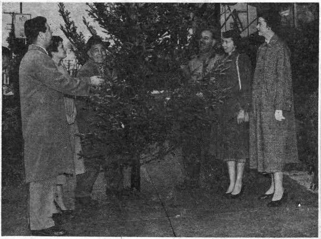 Members of the Wyeth Laboratory committee, who were arranging a party for employees’ children, given December 15, in the Rowland School, select a tree for the occasion from Hyacinth D’Ignazio on the “Fronefield Building Corner.” From left to right, with Hyacinth and Hyacinth Jr., are Howard Gear, Peggy McGee, Virginia Rutledge and Charlene Hennessey.