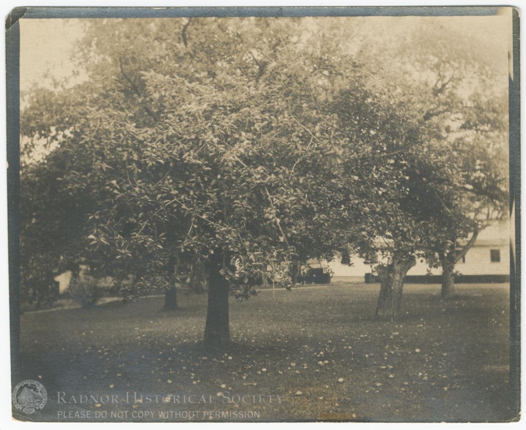 Finley House Lawn Radnor Historical Society Archive